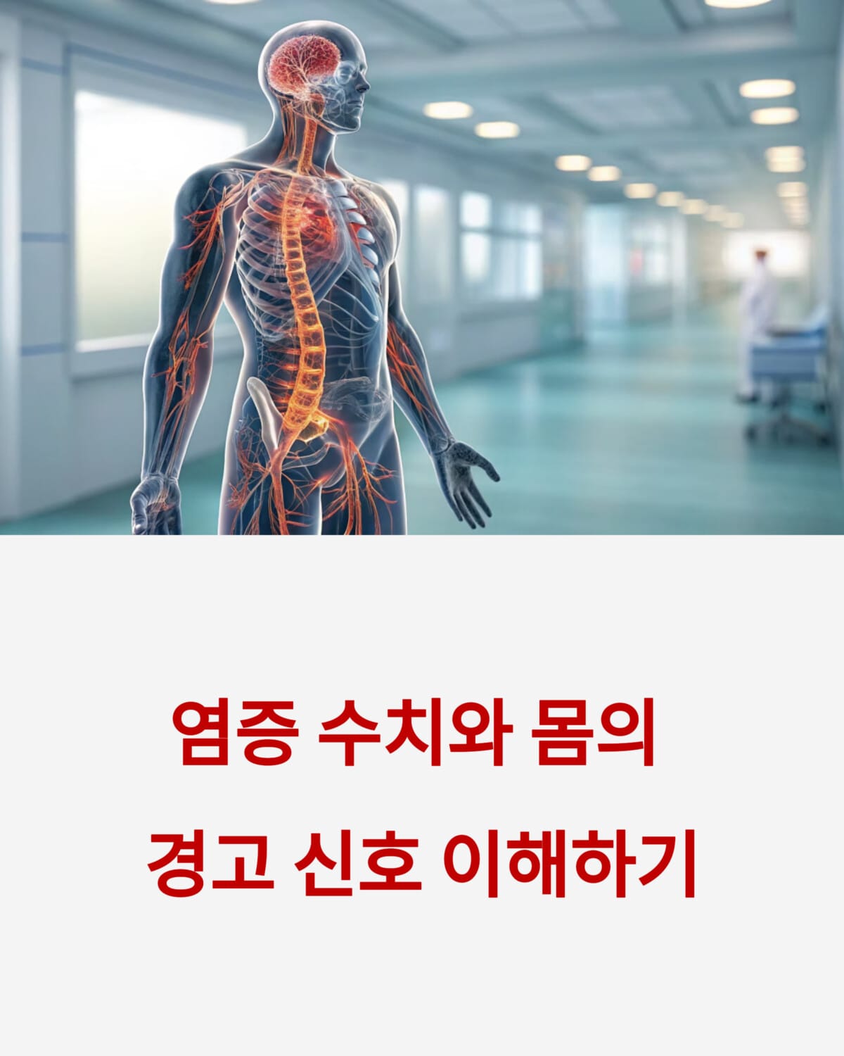 염증 수치와 몸의 경고 신호 이해하기