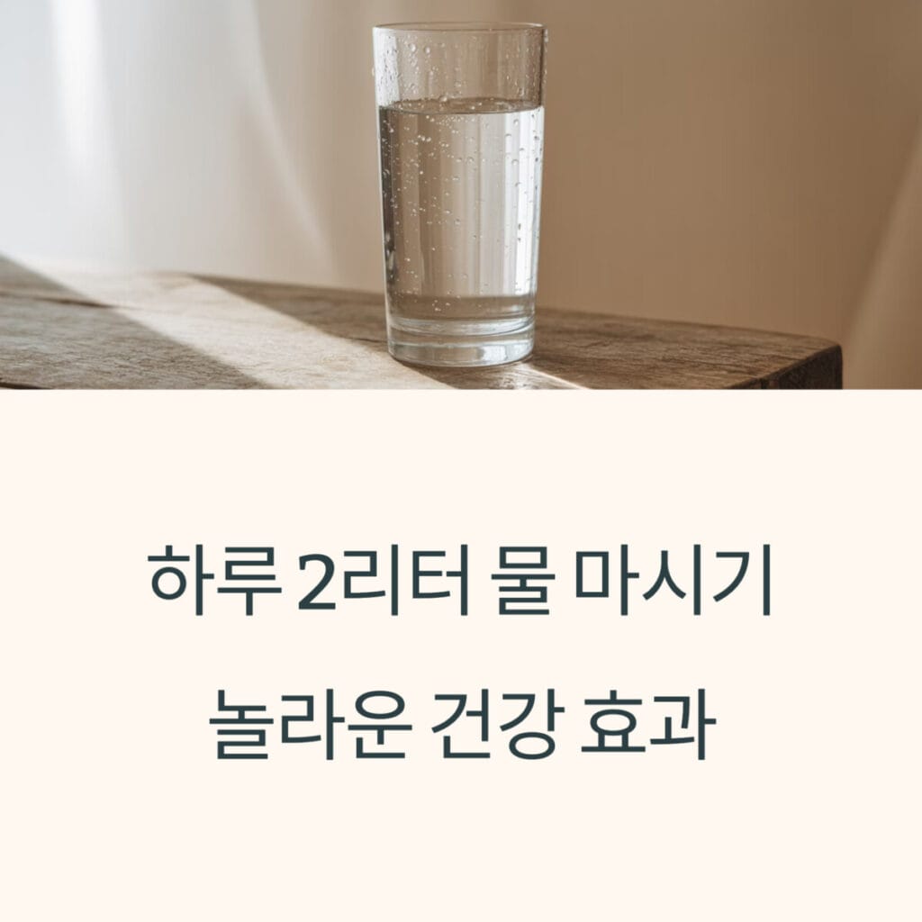 하루 2리터 물 마시기의 놀라운 건강 효과