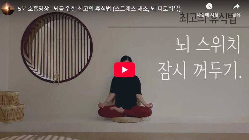 5분 호흡명상 - 뇌를 위한 최고의 휴식법 (스트레스 해소, 뇌 피로회복)