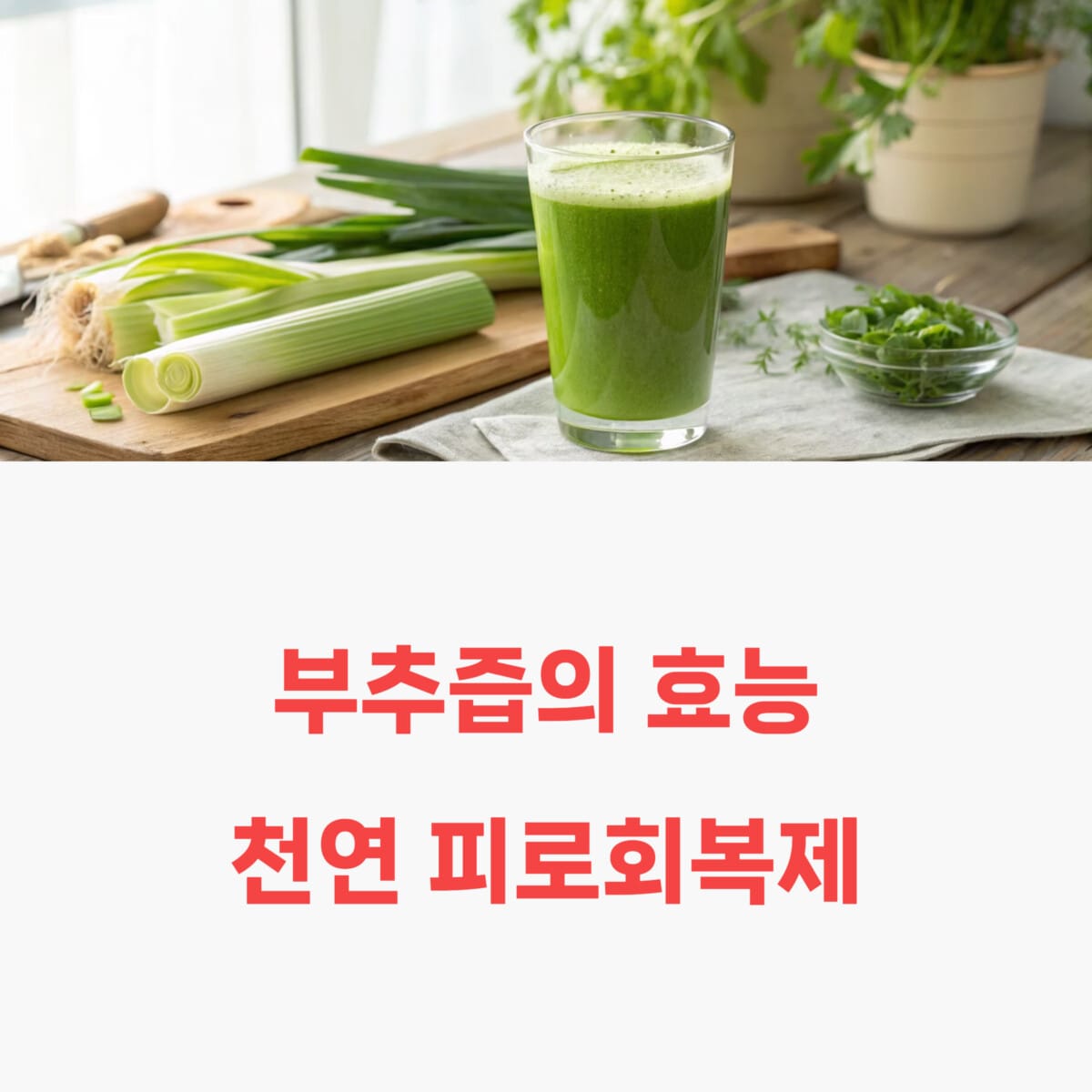 부추즙의 효능 천연 피로회복제