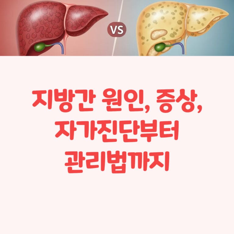 지방간 원인, 증상, 자가진단부터 관리법까지