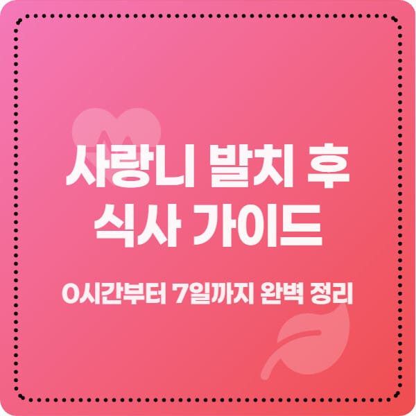 사랑니 발치 후 식사 가이드