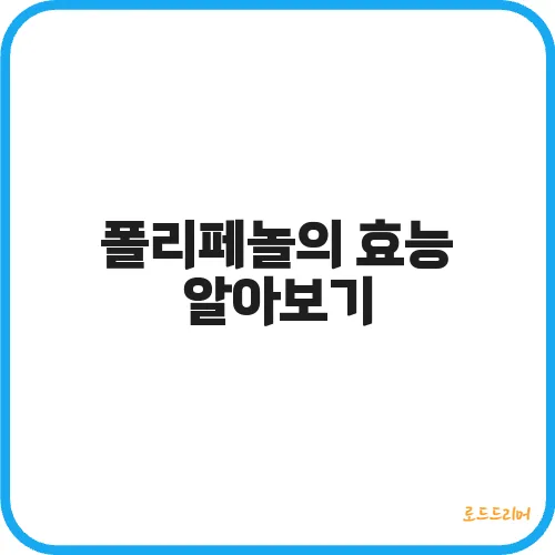 폴리페놀의 효능 알아보기