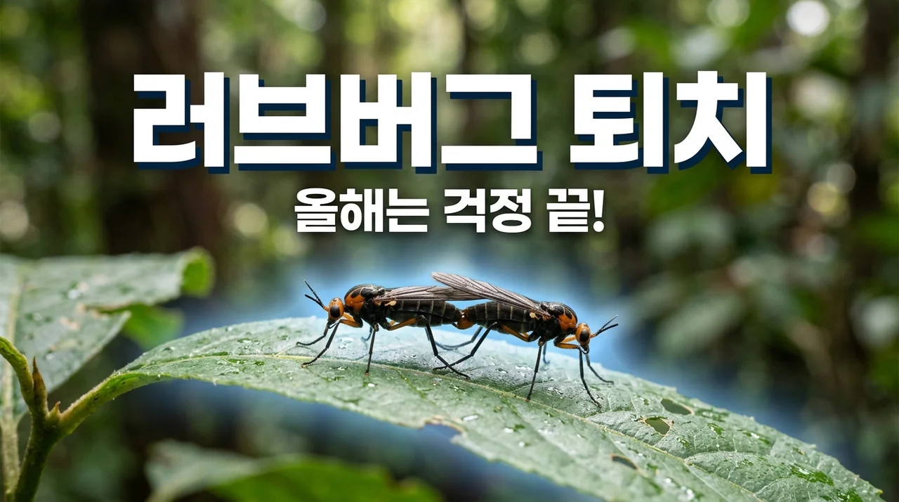 2026 러브버그 출몰 시기·지도·유충 뜻! 완벽 퇴치방법 총정리