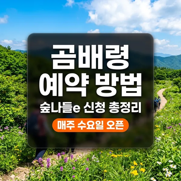 곰배령 숲나들e 예약 방법 및 신청 시간 정리