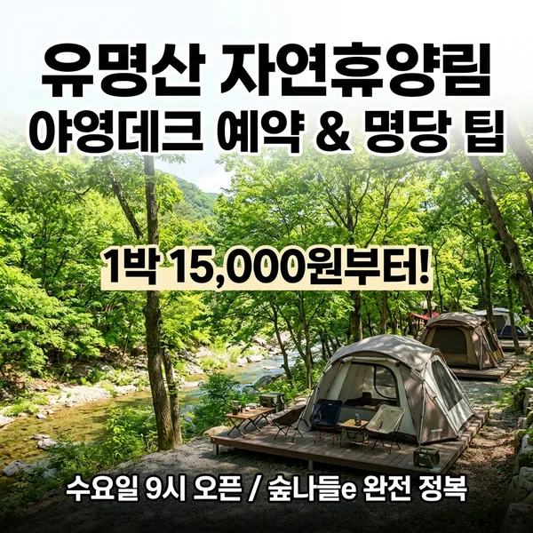 유명산 자연휴양림 야영데크 예약 방법 및 명당 팁