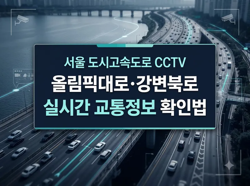 서울 도시고속도로 CCTV 및 실시간 교통정보 확인법
