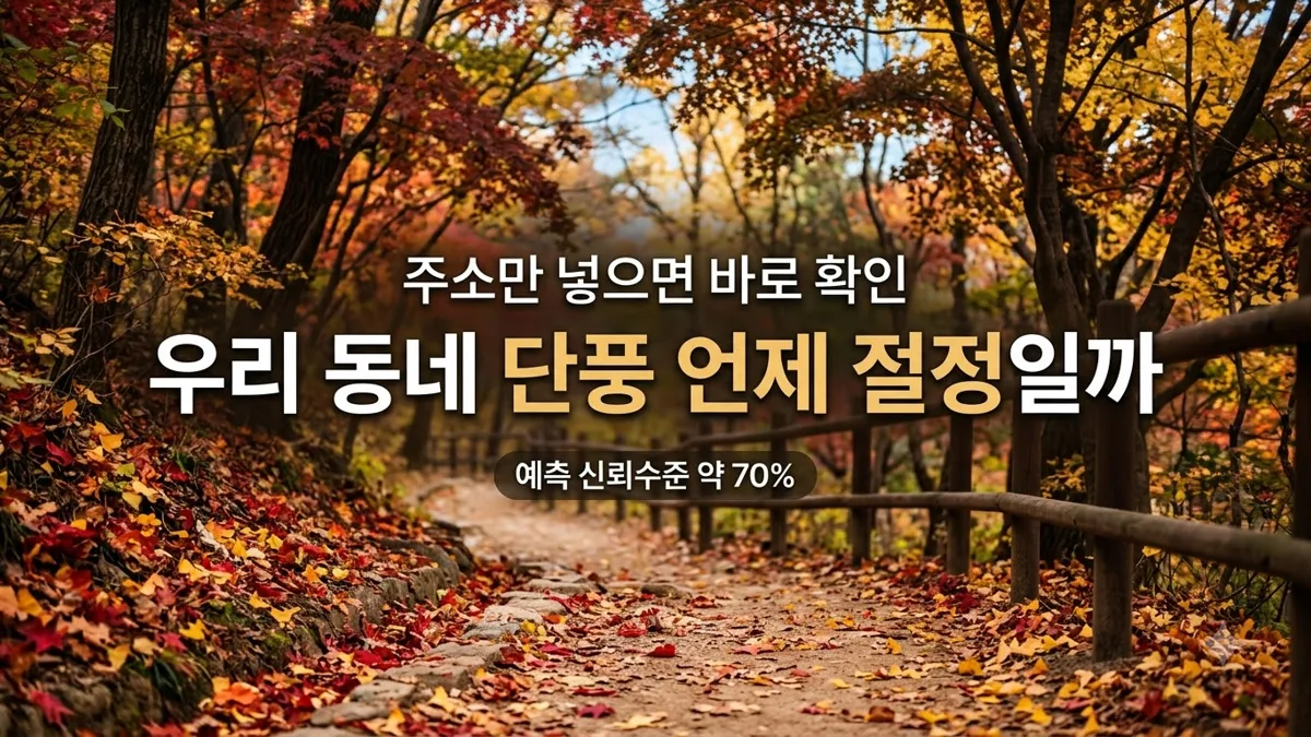 우리 동네 단풍절정 검색서비스 사용법