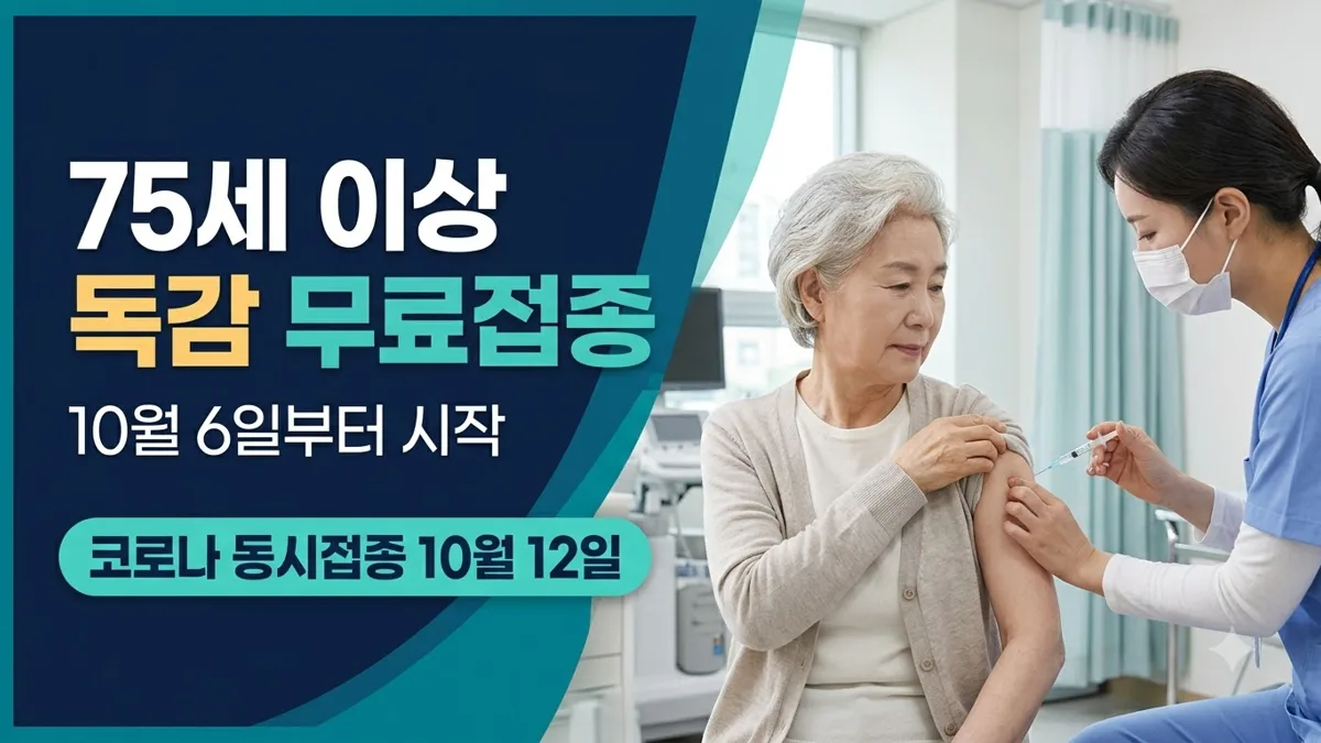 75세 이상 독감 무료접종 10월 6일 시작