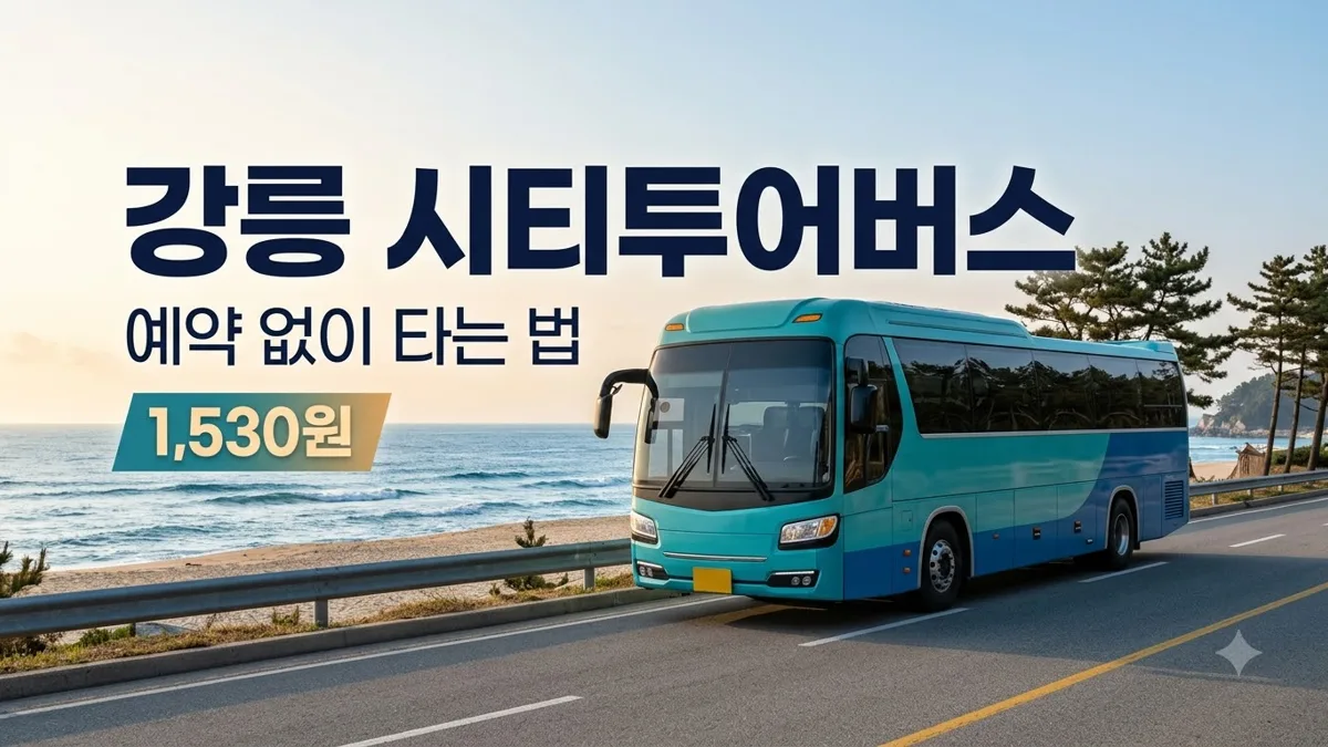 강릉 시티투어버스 노선과 요금 안내