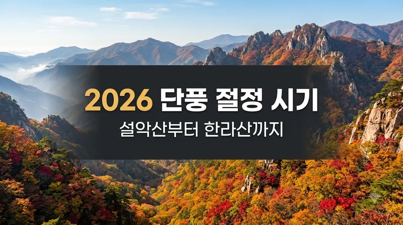 2026년 전국 주요 산 단풍 절정 시기 안내