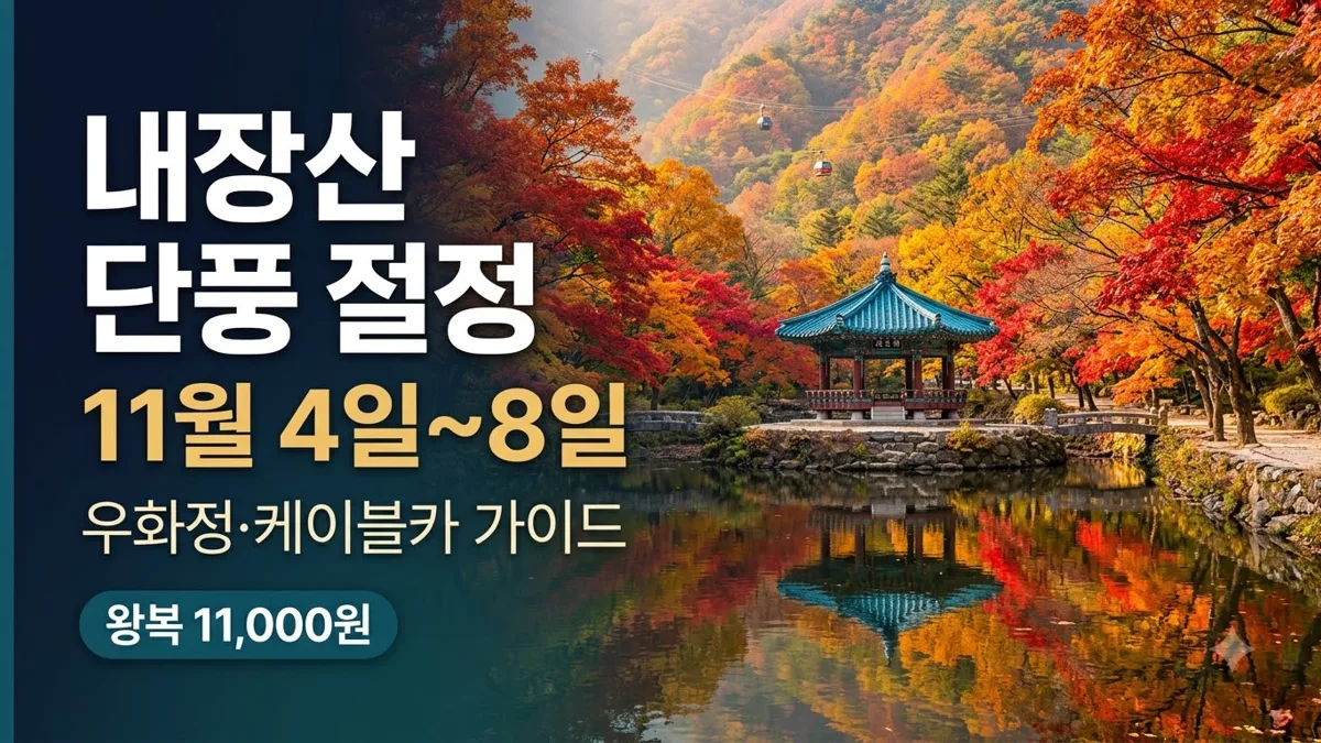 내장산 단풍 절정 시기와 케이블카 안내