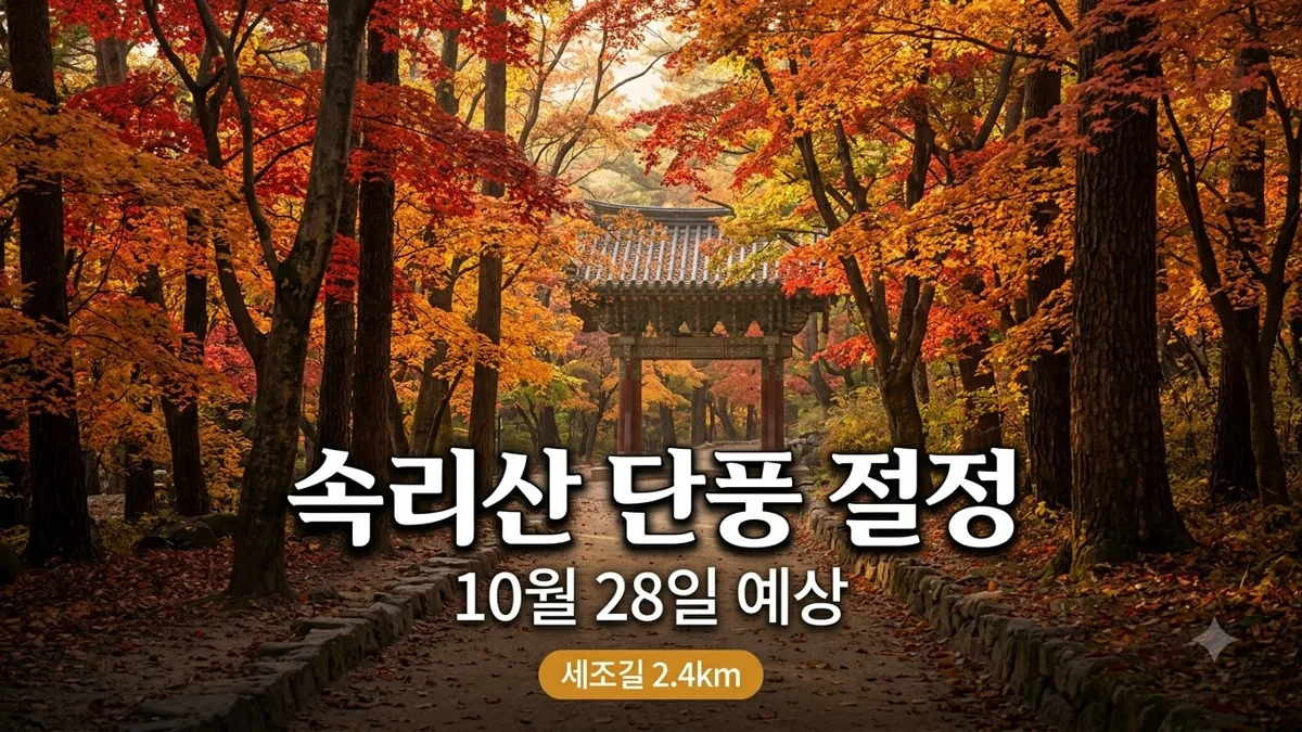 속리산 단풍 절정 시기와 세조길 코스 정리